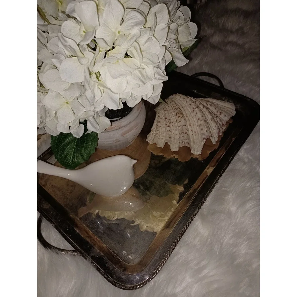 Pottery Barn large Silver Plate tray